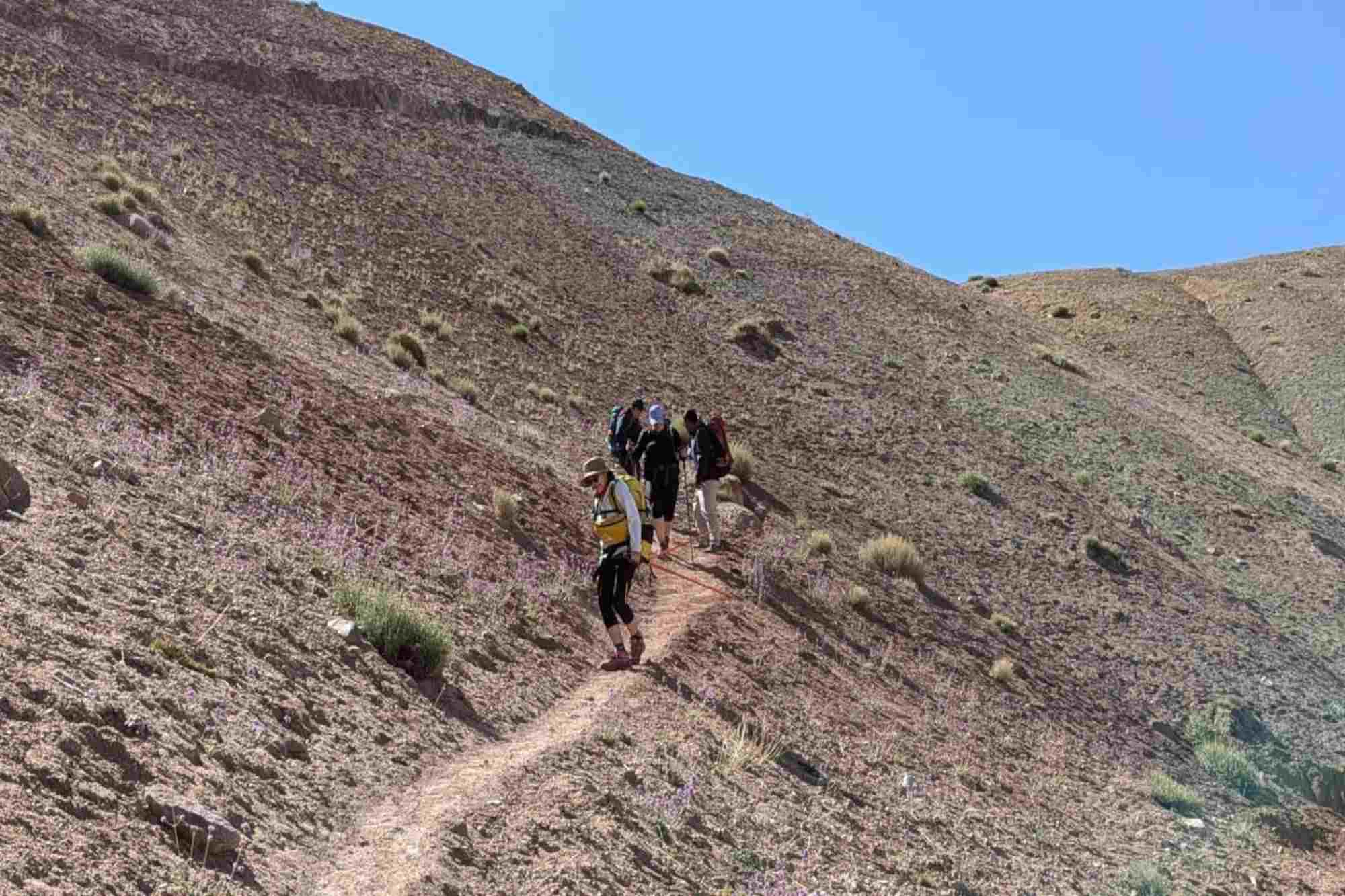 Sham Valley Trek 20252