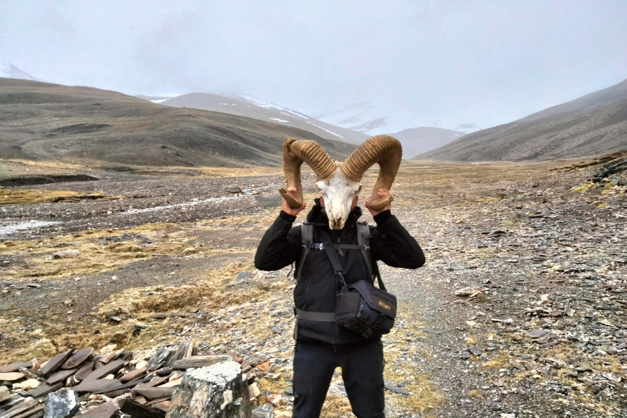 Rumtse Tsomoriri Trek (1)