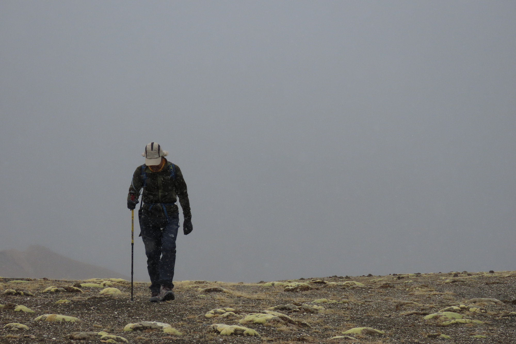 Rumtse Tsomoriri Trek (2)