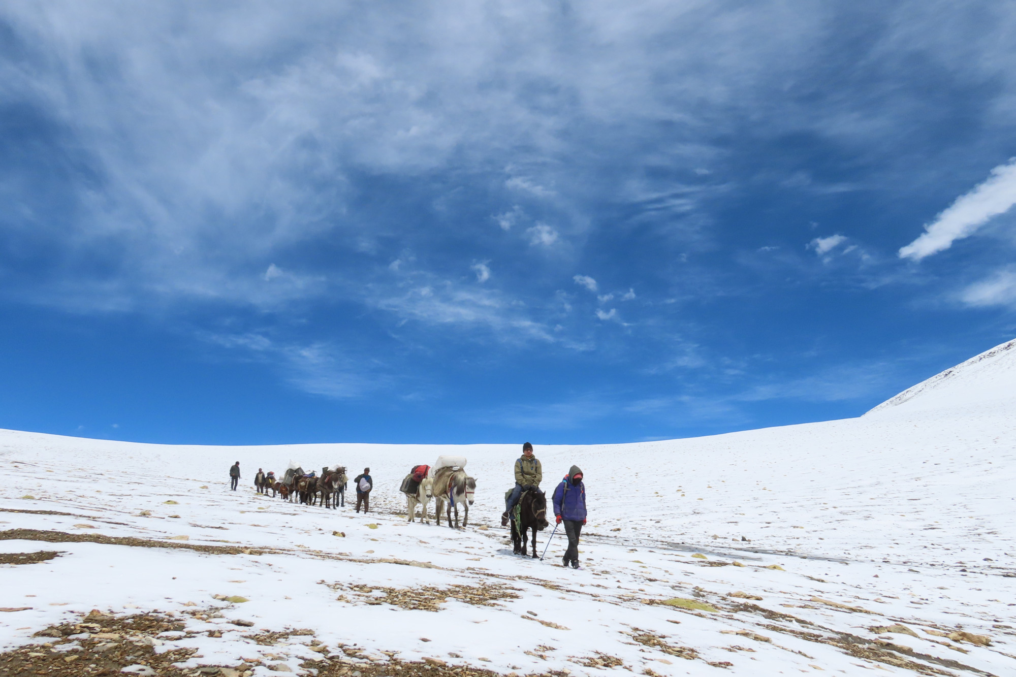 Rumtse Tsomoriri Trek (4)