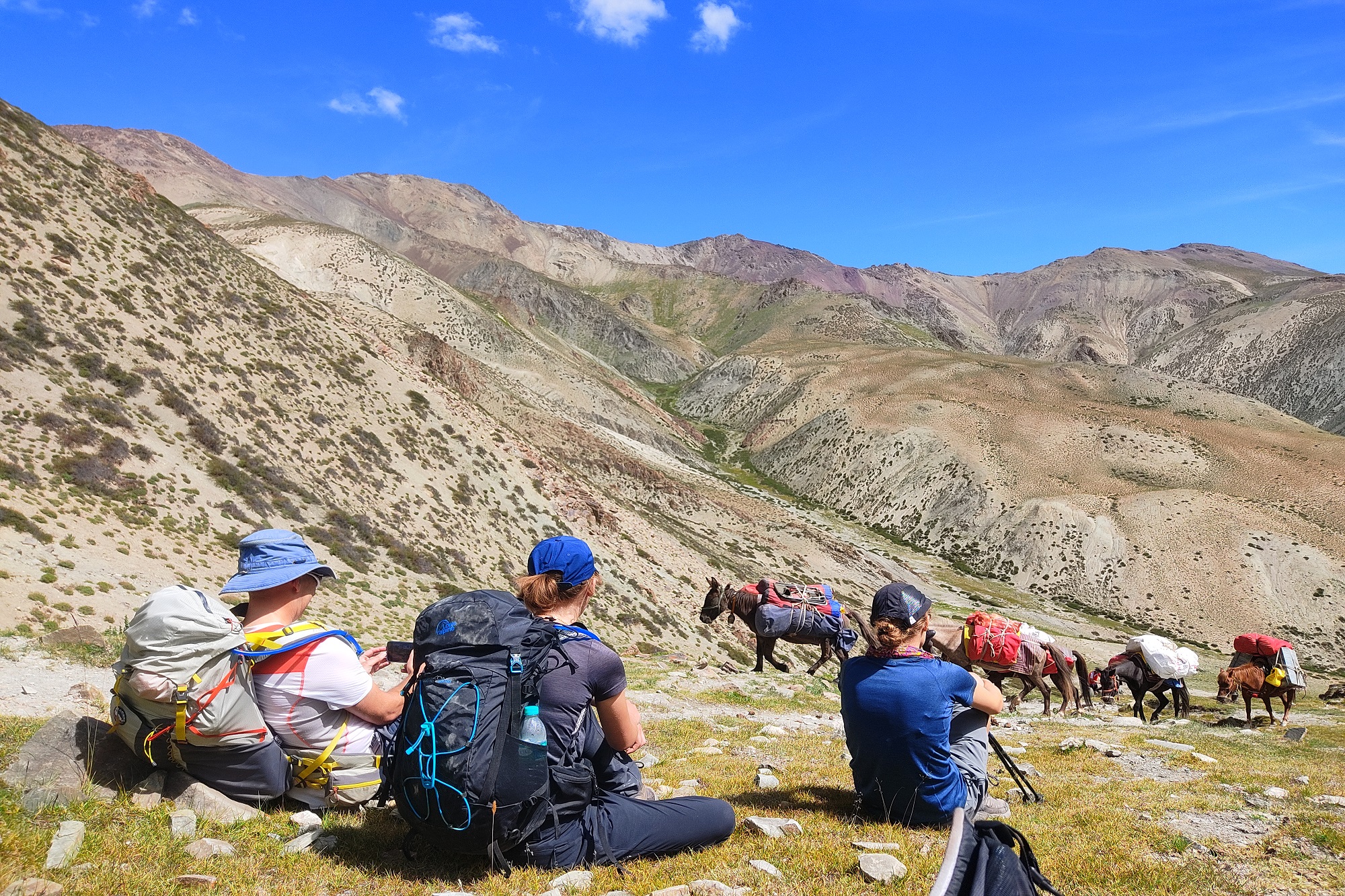 Markha Valley Trek 2025 (2)