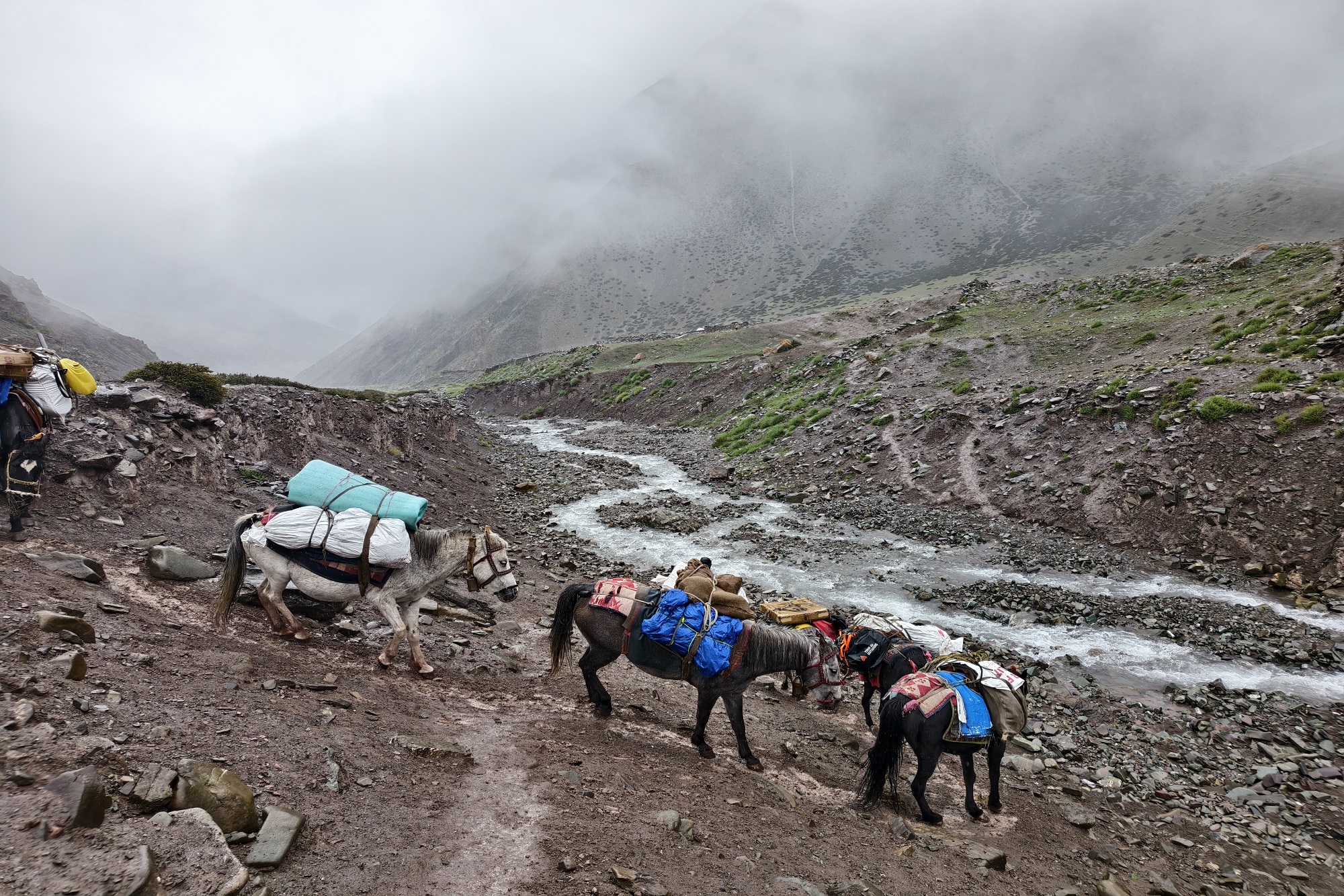 filter: 0; fileterIntensity: 0.000000; filterMask: 0; captureOrientation: 0;
niceRunStatus: 1; hdrForward: 4; shaking: 0.000000; highlight: 0; algolist: 0;
multi-frame: 1;
brp_mask: 0;
brp_del_th: 0.0000,0.0000;
brp_del_sen: 0.0000,0.0000;
delta:1;
bokeh:1;
module: photo;hw-remosaic: false;touch: (-1.0, -1.0);sceneMode: 12582912;cct_value: 0;AI_Scene: (-1, -1);aec_lux: 146.0;aec_lux_index: 0;albedo:  ;confidence:  ;motionLevel: 1;weatherinfo: weather：null, icon:null, weatherInfo:100;temperature: 20;zeissColor: bright;