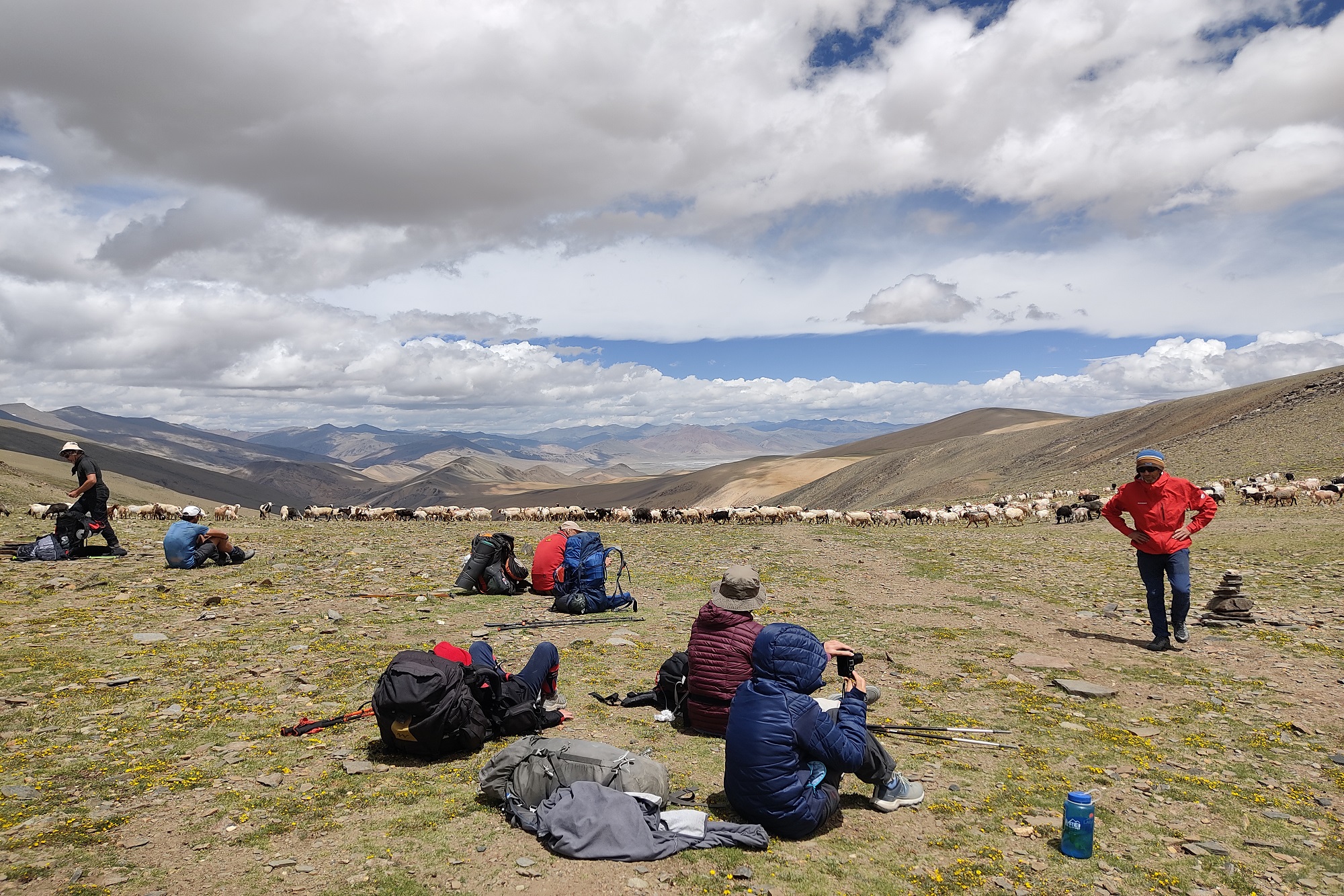 Rumtse Tsomoriri Trek (3)